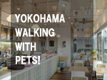 vol.4@Yokohama@walking@with@pets!
