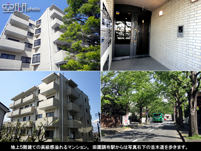 ステラスイート玉川田園調布の画像
