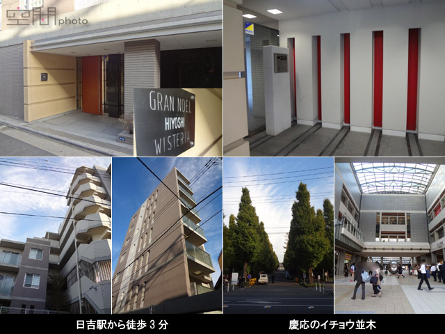 グランノエル日吉ウィステリアの画像