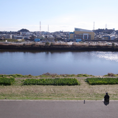 綱島ヒミコマンションの詳細 綱島ヒミコマンションの詳細