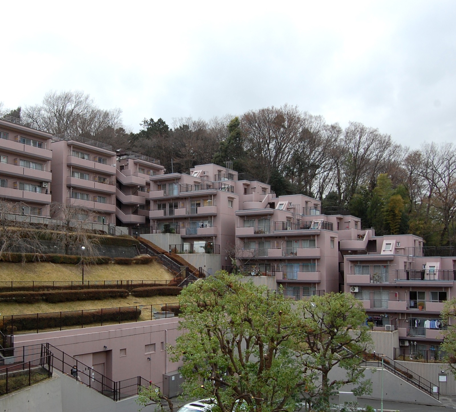 コスモ綱島台第2の詳細 コスモ綱島台第2の詳細
