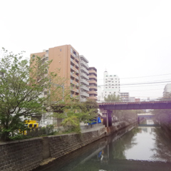 クリオ横浜弐番館の詳細 クリオ横浜弐番館の詳細